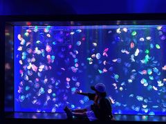 -海合安成都极地海洋公园