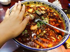 -邵年鸽(杨庄店)
