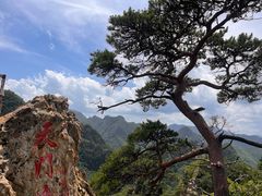 -大连天门山国家森林公园