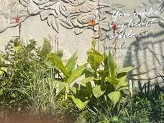 -紫荆广场·花漫里