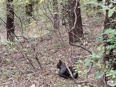 -佛慧山