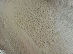 -大郎桥瑞陆糖粥(小太平巷店)