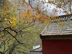 -北京上方山国家森林公园