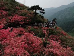 -木兰云雾山
