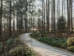 -杭州植物园