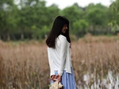 -白鹭湾湿地公园