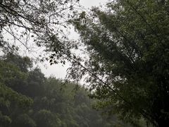 -英西峰林·洞天仙境