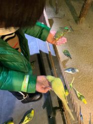 -酷嗒动物文化乐园(cutezoo西溪乐天城店)