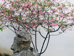 -南京民俗博物馆(甘熙故居)