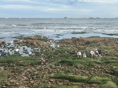 -青岛第三海水浴场