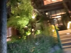 -大妙火锅·非物质文化遗产(东湖公园店)