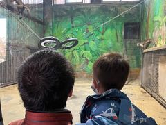 -西安秦岭野生动物园