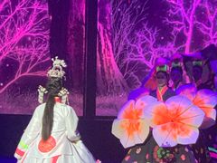 -金东尼人妖秀