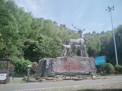 -长沙黑麋峰国家森林公园