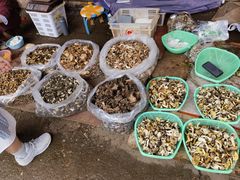 -南坛综合农贸市场