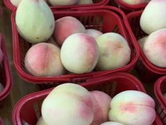 -宾湖农庄·农场特色(太湖龙之梦店)