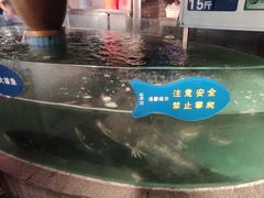 -坛宗剁椒鱼头(河西王府井店)