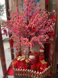 -比华利美容医院