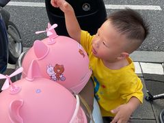 -光明小镇欢乐田园