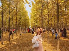 -汉景帝阳陵博物院