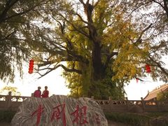 -大槐树寻根祭祖园