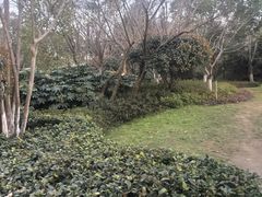 -武汉园博园(武汉自然博物馆)