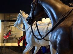-扎耶德国家博物馆