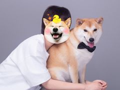 -小象国照相馆(宝山万达店)