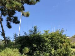 -陈云纪念馆