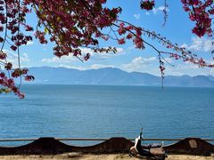 -湖景渔湾