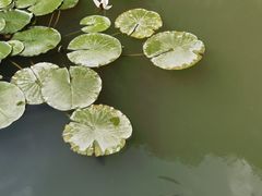 -桑干河大峡谷旅游区