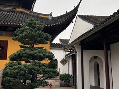 -西园戒幢律寺