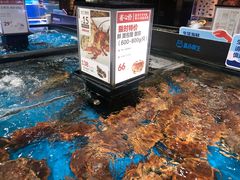 水产区-盒马鲜生(曜一城店)
