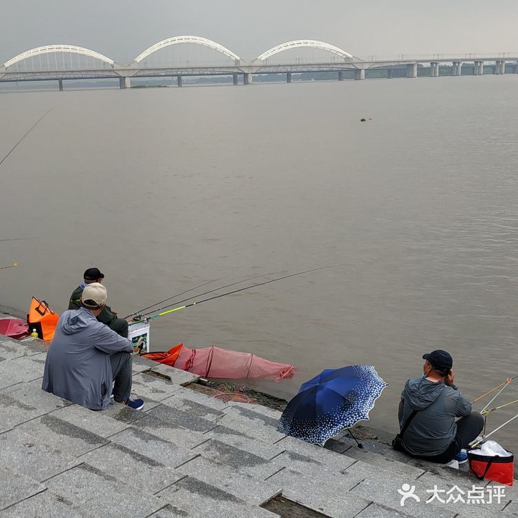 冒雨去探查鱼市搬迁进度