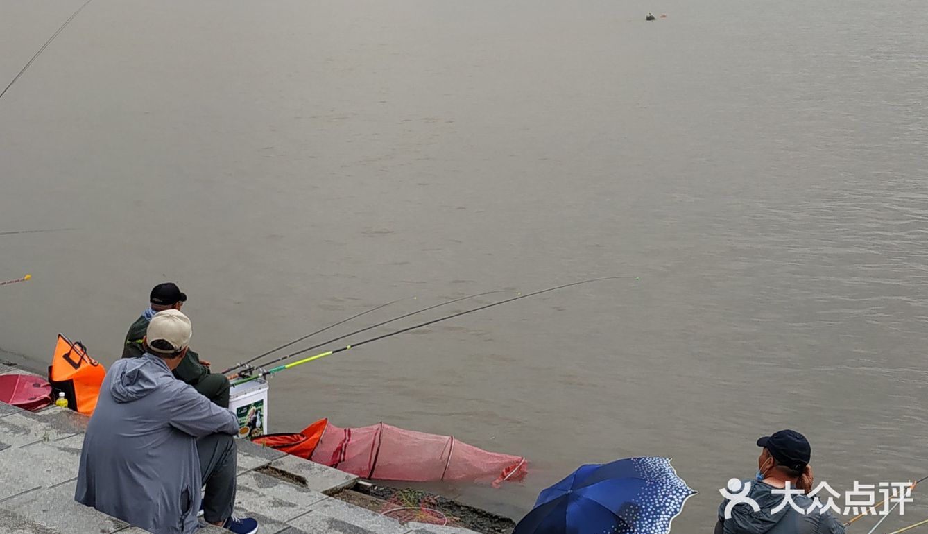 冒雨去探查鱼市搬迁进度