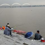 冒雨去探查鱼市搬迁进度
