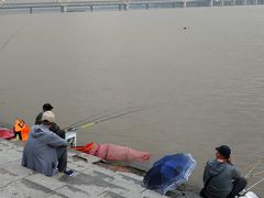 -哈尔滨道外花鸟鱼市场