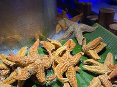 -花西亭·海鲜自助餐厅(瑞城名人酒店)