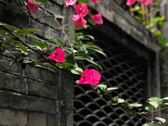 -见山书院