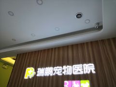 -瑞鹏宠物医院·骨科·猫科·内科(第一中心)