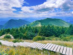 -白草畔自然风景区