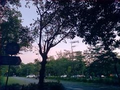 -东部华侨城