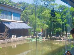 -天怡·鱼工厂(梅溪湖店)