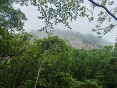 -大连天门山国家森林公园