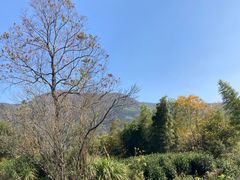 -塔川景区