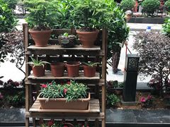 -唐伯虎新派湘菜馆(石夏时代广场店)