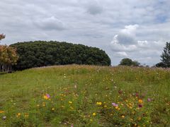 -嘉北郊野公园