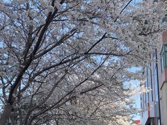 -麦当劳(无锡永乐店)