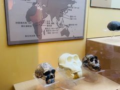 -国家自然博物馆