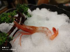 -吉兆手握寿司(车公庙店)